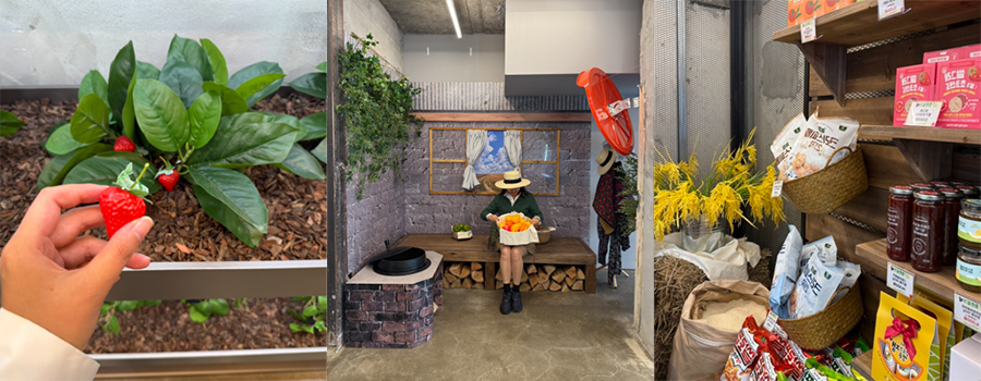 november pop up stores in korea best pop up shops Hip-Farm Life Store