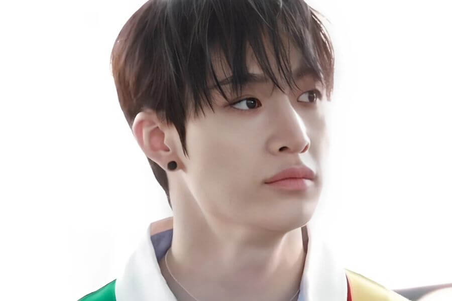 bang chan stray kids members profile complete guide 2025 delivered korea