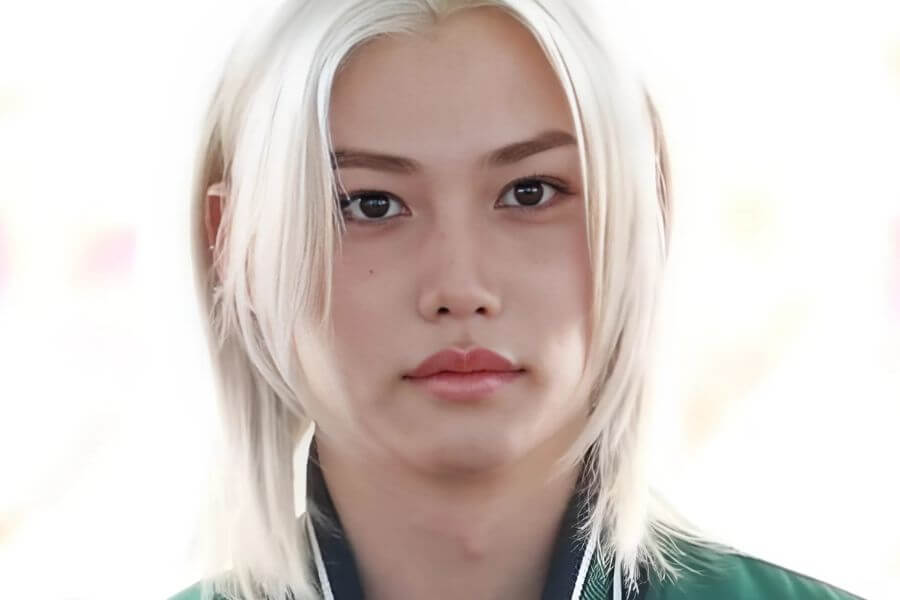 felix stray kids members profile complete guide 2025 delivered korea