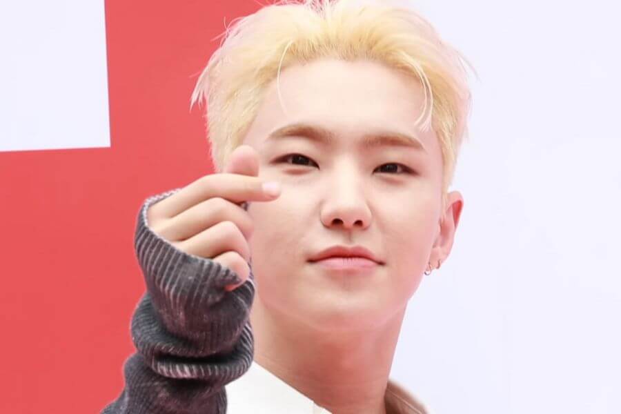 hoshi seventeen members profile complete guide 2025 delivered korea