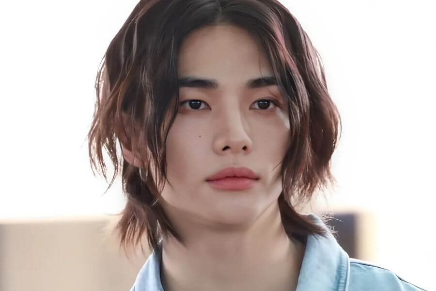 hyunjin stray kids members profile complete guide 2025 delivered korea