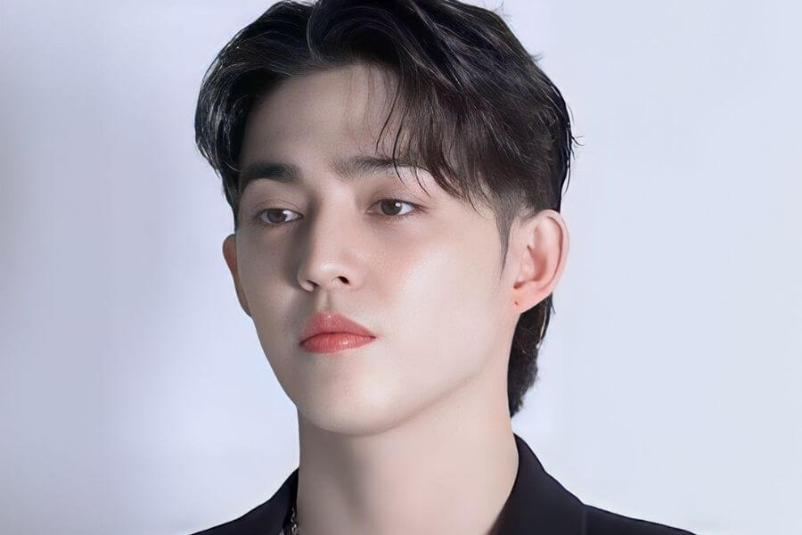 s.coups seventeen members profile complete guide 2025 delivered korea