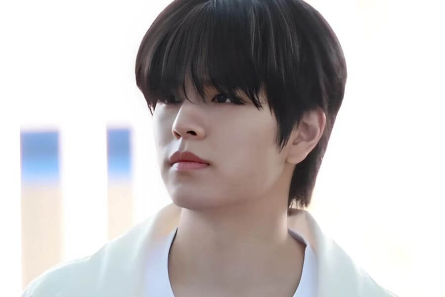 seungmin stray kids members profile complete guide 2025 delivered korea