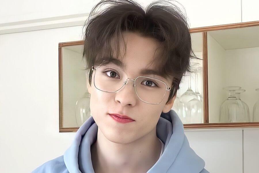 vernon seventeen members profile complete guide 2025 delivered korea