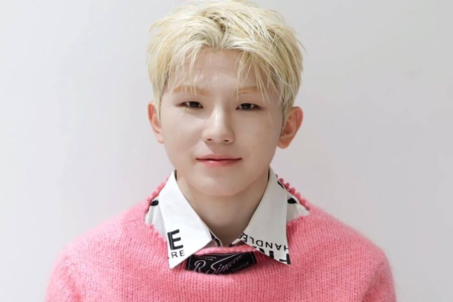 woozi seventeem members profile complete guide 2025 delivered korea