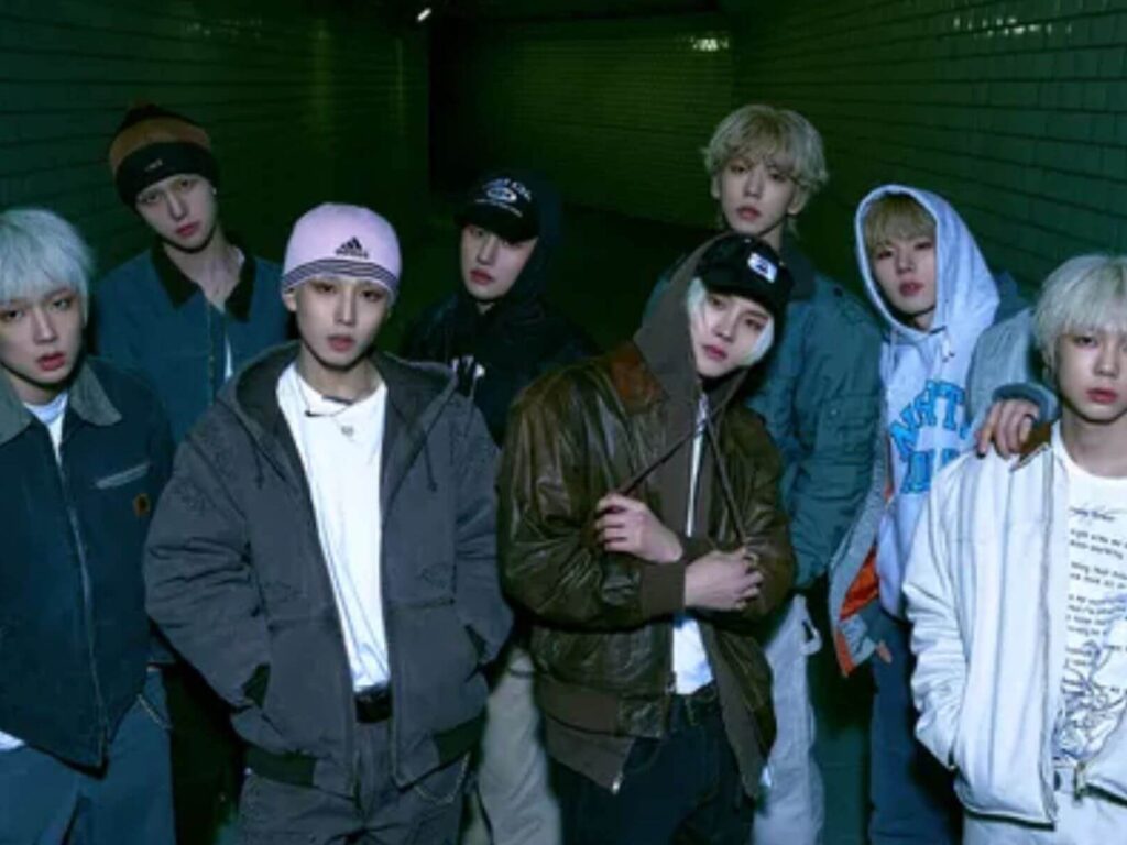 8turn members profile updated 2026 dk blog