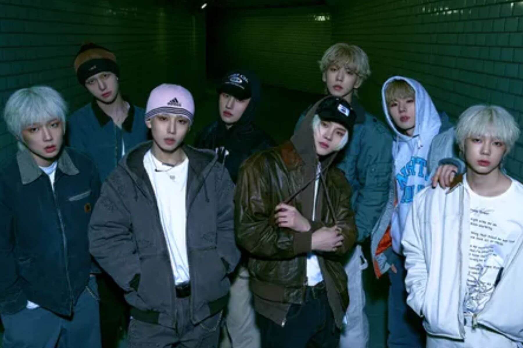 8turn members profile updated 2026 dk blog