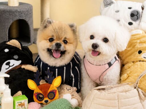 10 Best Korean Pet Brands to Shop at ARTBOX in 2026 dk blog