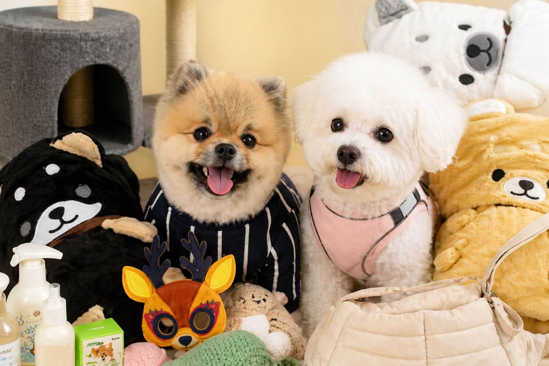 10 Best Korean Pet Brands to Shop at ARTBOX in 2026 dk blog