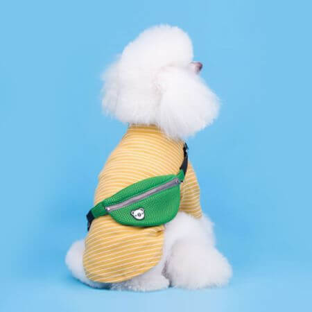 dogwag 10 Best Korean Pet Brands to Shop at ARTBOX in 2026