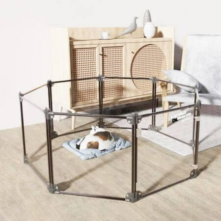 familia de mascota 10 Best Korean Pet Brands to Shop at ARTBOX in 2026