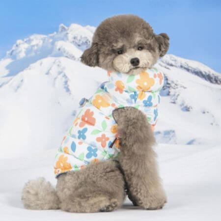 puppia 10 Best Korean Pet Brands to Shop at ARTBOX in 2026