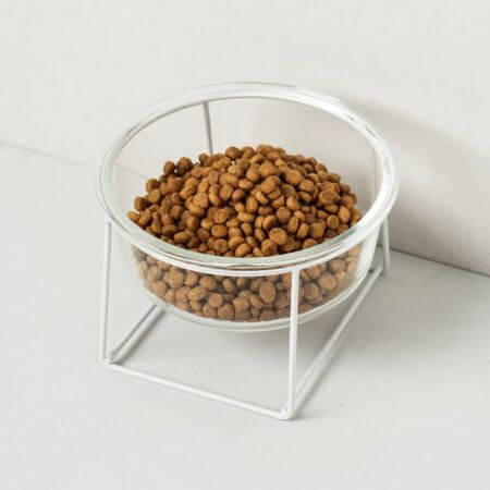 transparent water bowl that increases water intake dk blog