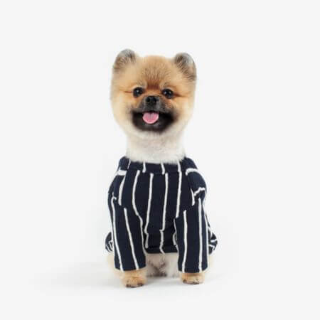 wefam 10 Best Korean Pet Brands to Shop at ARTBOX in 2026